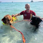 Cani da salvataggio per la prima volta sulle spiagge di Olbia